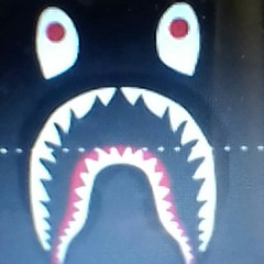 Amazing Bape