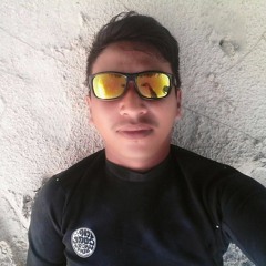 Zld