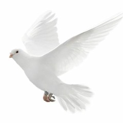 ICE CLUB [ukdcde] Sounds