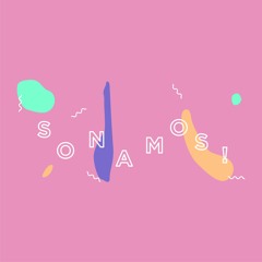 Colectivo Sonamos