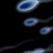 🕊 SPERM WAR 🕊