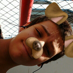 Stevan C. Santos