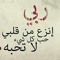 ماجده القرشى
