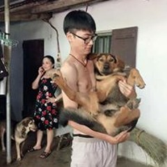 Long Đức Nguyễn