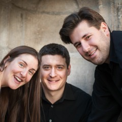 Johannes Brahms - Horntrio op.40 - 1. Satz