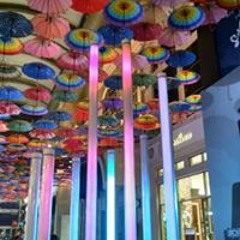 quranic translations