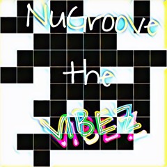 NuGroove the Vibez