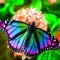Butterflygirlxx