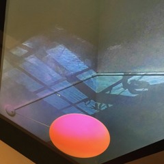 a bucket of tiger pee