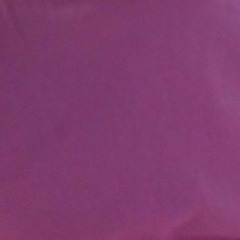 Евгений Пантин