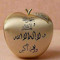 Amany Elkhalifa