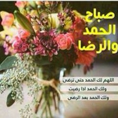 محمد محمد أحمد