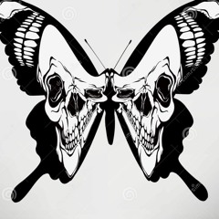 Pirate Butterfly