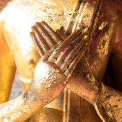 Natascha Königsbauer