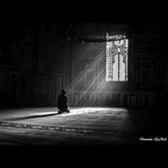 Donia Mohammed