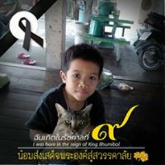 Pichat Kifgr