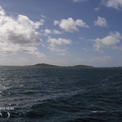 tomakin the director