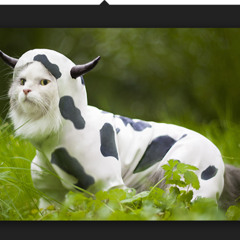 Visit My Updated Profile