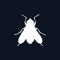 flies+flies