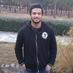 mohammadreza ka