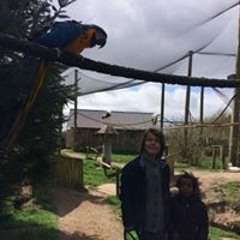 Marcus N. Villemoes Ponty