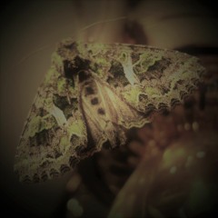 Through the time, I want go back to the beginning