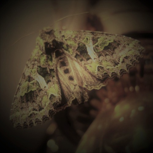 Through the time, I want go back to the beginning