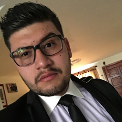 luis camilo rodriguez