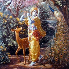 Radhe Krishna