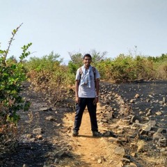 Tejaswa Gavankar