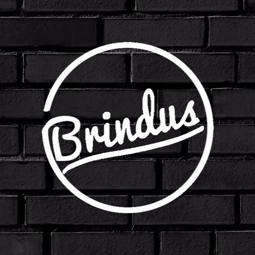 Stream Brindus music | Listen to songs, albums, playlists for free on ...