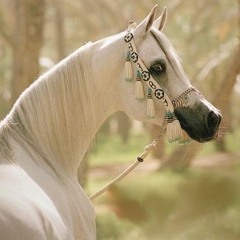 ღداعية المستقبلღ