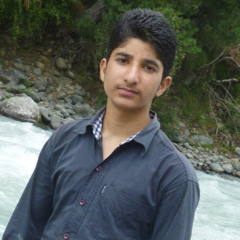 bhat faisal