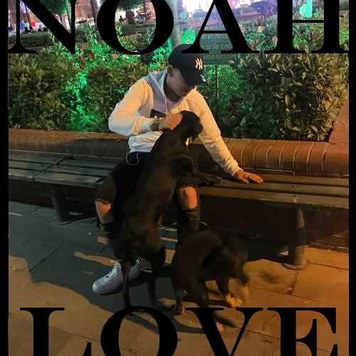 NOAH’s avatar