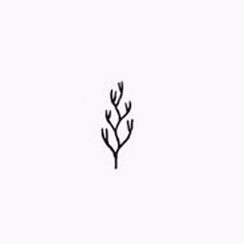 hyacinthus.’s avatar
