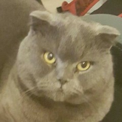 FreddieZeigtWieEsGeht