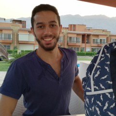 Amr Ibrahim Seif Allam