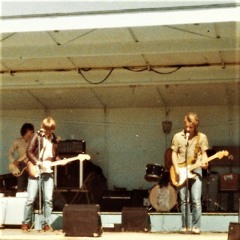 The Nielsen Brothers