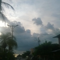 Guillermo Osorio Noboa