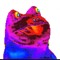 nick04
