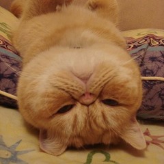 Thơ Thẩn