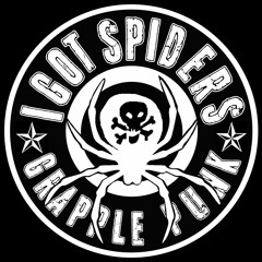 I GOT SPIDERS