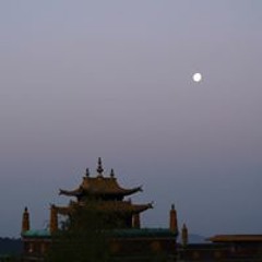 Joy Wangmo