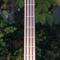 Ellie The Bassist