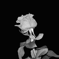 Lea Navi Claire Christin