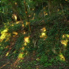 sky sownd omniversity