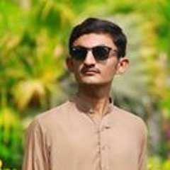 baaghi
