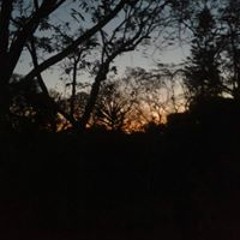 Jericho Roots