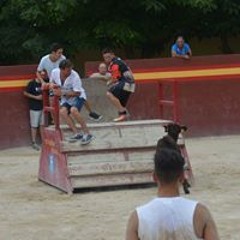 Francesc Moya Pepiol