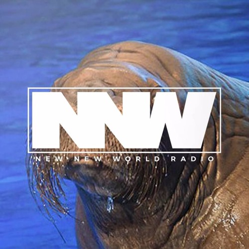 New New World Radio’s avatar